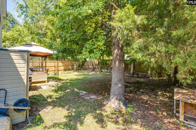118 Blackwater Lane, Irmo, SC 29063 - Photo 33