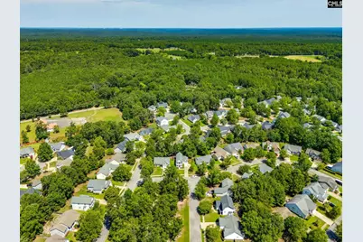 118 Blackwater Lane, Irmo, SC 29063 - Photo 39