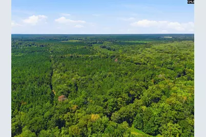 0 Shillings Bridge Road, Orangeburg, SC 29115 - Photo 11