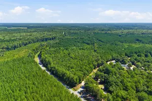 0 Shillings Bridge Rd, Orangeburg, SC 29115 - Photo 1