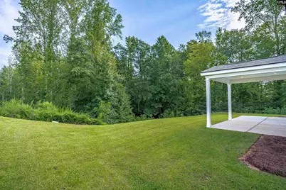 169 Monroe Preserve Lane, Chapin, SC 29036 - Photo 41