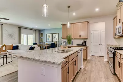 712 Top Line Street, Chapin, SC 29036 - Photo 9