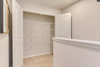 712 Top Line Street, Chapin, SC 29036 - Photo 33