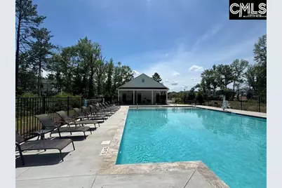 712 Top Line Street, Chapin, SC 29036 - Photo 43