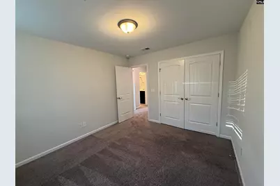 953 Bergenfield Lane, Chapin, SC 29036 - Photo 13
