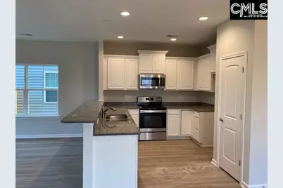 953 Bergenfield Lane, Chapin, SC 29036 - Photo 3