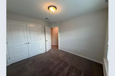 953 Bergenfield Lane, Chapin, SC 29036 - Photo 11