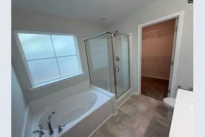 953 Bergenfield Lane, Chapin, SC 29036 - Photo 9