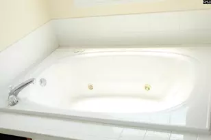 341 Laurel Rise Ln, Columbia, SC 29229 - Photo 33