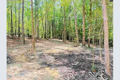 281 Douglas Road, Pomaria, SC 29126 - Photo 23