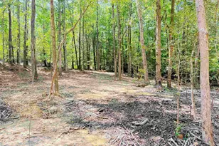 281 Douglas Rd, Pomaria, SC 29126 - Photo 23