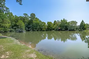 129 Wandering Brook Rd, Irmo, SC 29036 - Photo 29