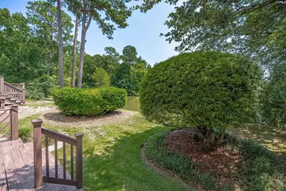 129 Wandering Brook Road, Irmo, SC 29036 - Photo 31