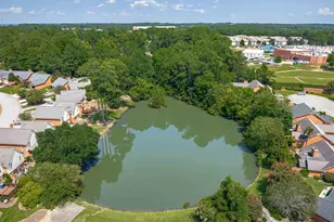 129 Wandering Brook Rd, Irmo, SC 29036 - Photo 41