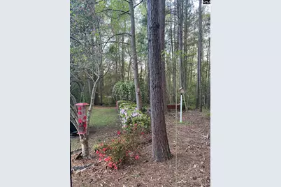 129 Mallard Landing Way, Columbia, SC 29209 - Photo 45