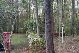 129 Mallard Landing Way, Columbia, SC 29209 - Photo 45