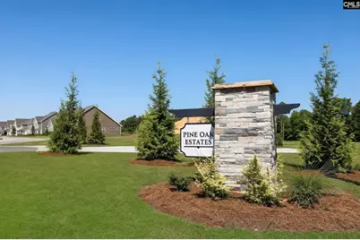 270 Foxglade Drive, Gilbert, SC 29054 - Photo 31