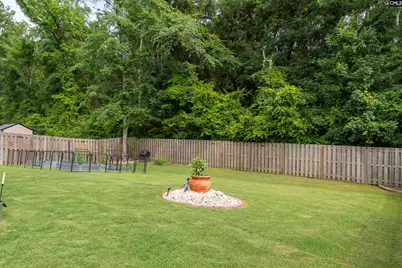 536 Lever Hill Court, Chapin, SC 29036 - Photo 13