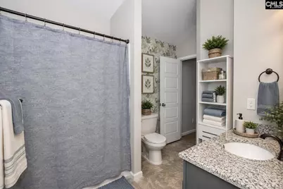 536 Lever Hill Court, Chapin, SC 29036 - Photo 37