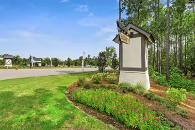 729 S Long Star Way, Elgin, SC 29045 - Photo 43