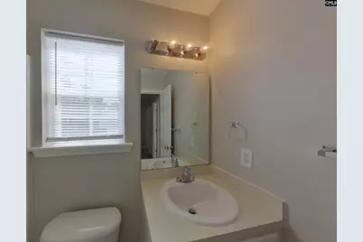 163 Brooksong Drive, Lexington, SC 29073 - Photo 15