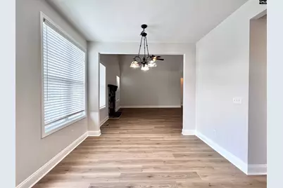 447 Gauley Drive, Columbia, SC 29212 - Photo 29