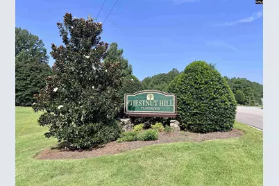 447 Gauley Drive, Columbia, SC 29212 - Photo 59