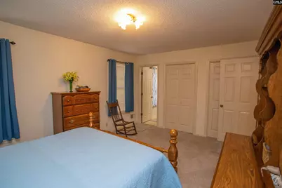 1168 Pine Grove Road, Lugoff, SC 29078 - Photo 13
