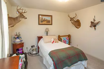 1168 Pine Grove Road, Lugoff, SC 29078 - Photo 15