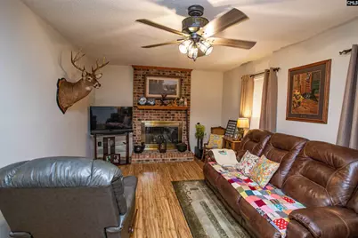 1168 Pine Grove Road, Lugoff, SC 29078 - Photo 5