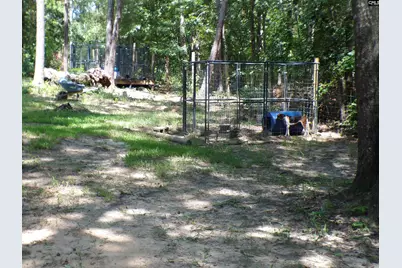 1128 Taylor Lane, Elgin, SC 29045 - Photo 31