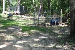 1128 Taylor Ln, Elgin, SC 29045 - Photo 31