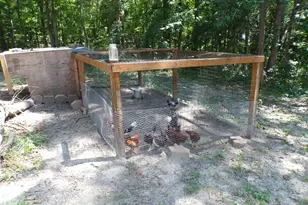 1128 Taylor Ln, Elgin, SC 29045 - Photo 29