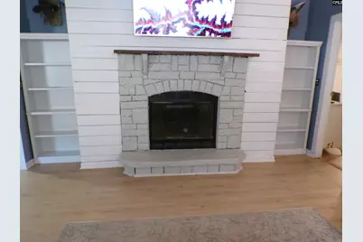 1128 Taylor Lane, Elgin, SC 29045 - Photo 13
