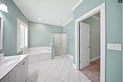 12 Baywood Court, Chapin, SC 29036 - Photo 29