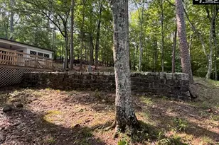 2240 Lake Rd, Ridgeway, SC 29130 - Photo 21