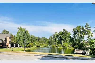 12 Healy Way, Blythewood, SC 29016 - Photo 19
