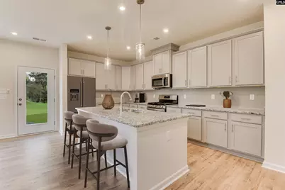 12 Healy Way, Blythewood, SC 29016 - Photo 3