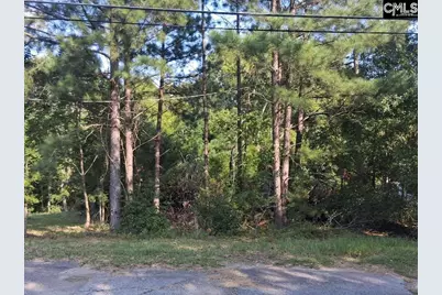 84 Calhoun Street, Whitmire, SC 29178 - Photo 1