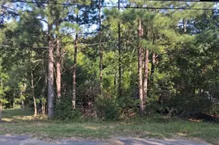 84 Calhoun St, Whitmire, SC 29178 - Photo 1