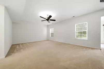 124 Palm Street, Chapin, SC 29036 - Photo 9