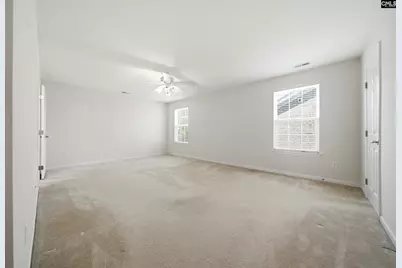 124 Palm Street, Chapin, SC 29036 - Photo 23