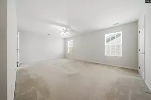 124 Palm St, Chapin, SC 29036 - Photo 23