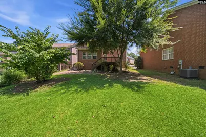 124 Palm Street, Chapin, SC 29036 - Photo 29
