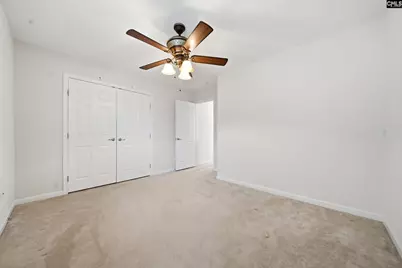 124 Palm Street, Chapin, SC 29036 - Photo 19