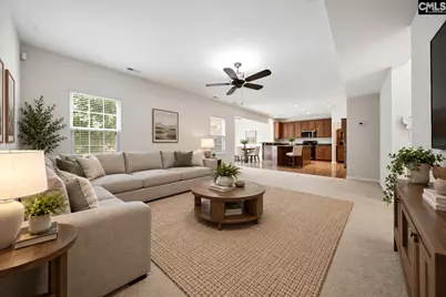 124 Palm Street, Chapin, SC 29036 - Photo 9