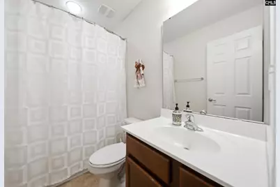 124 Palm Street, Chapin, SC 29036 - Photo 17