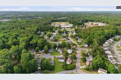 305 Cutter Court, Chapin, SC 29036 - Photo 37