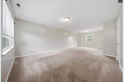 305 Cutter Court, Chapin, SC 29036 - Photo 5