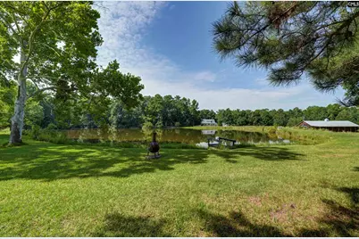 776 Spool Wheel Road, Gilbert, SC 29054 - Photo 77
